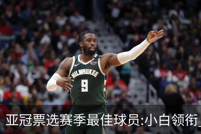 亚冠票选赛季最佳球员:小白领衔 奥古比埃拉上榜